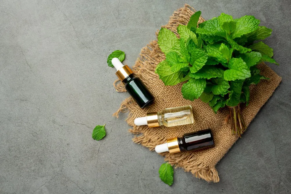 https://lovinghomecareinc.com/wp-content/uploads/2020/12/essential-oil-peppermint-bottle-with-fresh-green-peppermint.jpg.webp