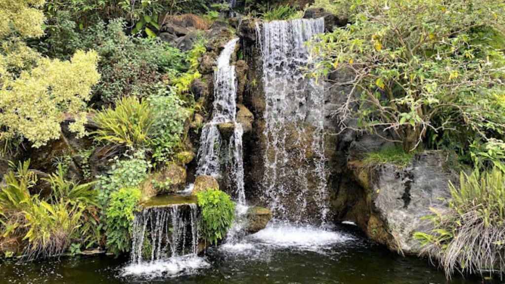 LA Arboretum & Botanic Garden