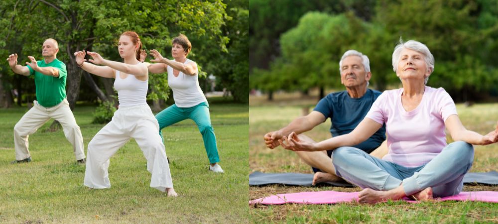 Comparison: Tai Chi vs Yoga for Seniors