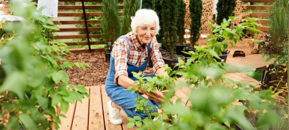 Benefits of Gardening for Seniors