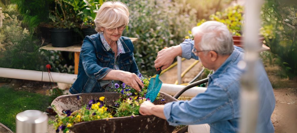 Safe Gardening tips for seniors