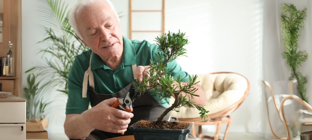 Indoor Gardening Ideas for Seniors